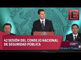 Peña Nieto encabeza 42 Sesión del Consejo Nacional de Seguridad Pública