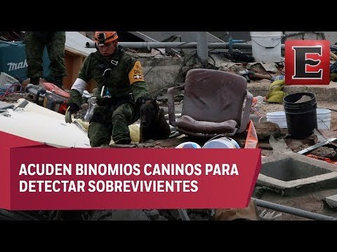 Mantienen labores de rescate en escombros de Santa Cruz Atoyac