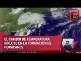 David Adams habla de las fuertes lluvias en México