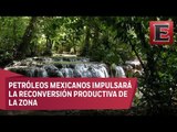 Pemex dona 25 mdp para la Selva Lacandona