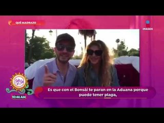 ¡Óscar Madrazo con Paulina Rubio desde Marruecos! | Sale el Sol