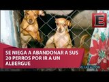 Rechaza ir a un albergue para no abandonar a sus mascotas en Morelos