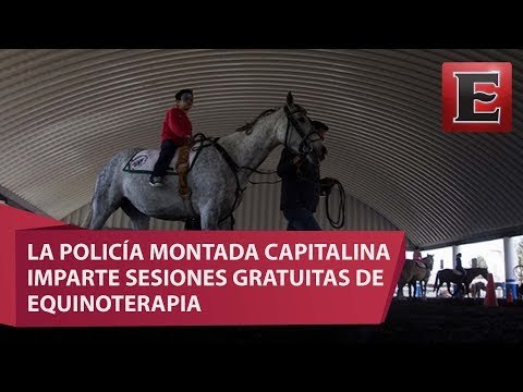 Alivian dolencias con apoyo animal