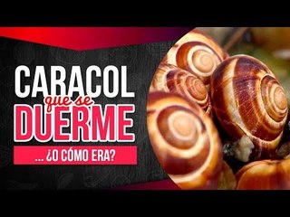 Oye al Chef | Programa Completo Episodio 8