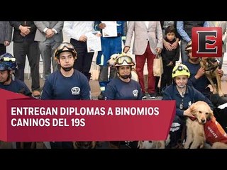 ALDF reconoce labor de binomios caninos del 19S
