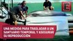 Con delfines entrenados buscan salvar a la vaquita marina en México