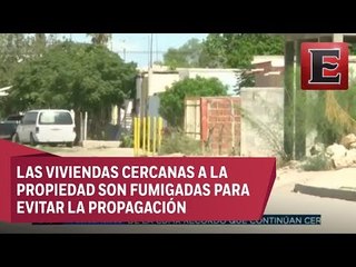 Queman y derrumban casa por invasión de garrapatas en Durango