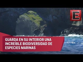 Archipiélago de Revillagigedo será Parque Nacional Marino