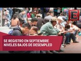 Mauricio Flores: Nivel de desempleo más bajo desde hace 11 años