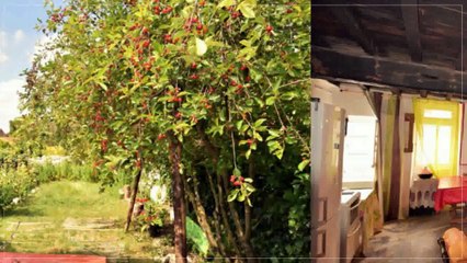 A vendre - Maison/villa - Charroux (03140) - 4 pièces - 80m²