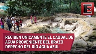 Baja afluente en cascadas de Agua Azul en Chiapas por causas naturales