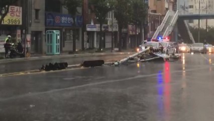 정전·침수되고 신호등 쓰러져...곳곳 피해 / YTN