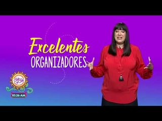 ¿Cuáles son las características de Virgo? | Sale el Sol