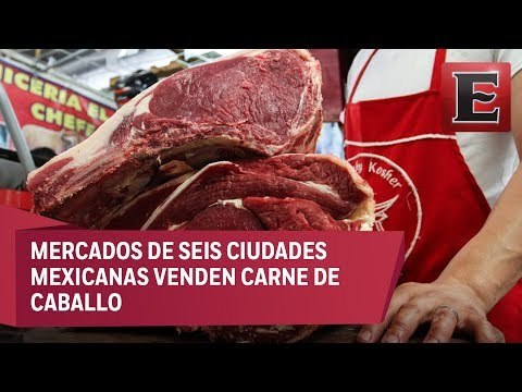 ¿Cuáles son las diferencias entre carne de caballo a la de res?