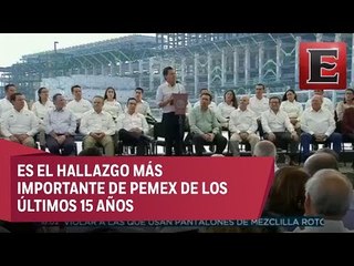 EPN confirma hallazgo de yacimiento en Veracruz