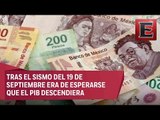 Análisis de la caída del PIB y la desaceleración de la economía