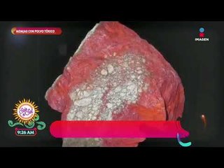 ¡Momias con más de 600 años fueron encontradas en Chile! | Sale el Sol