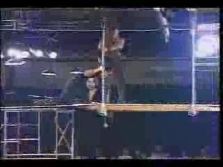 Dreamer v Brian Lee - Scaffold Match