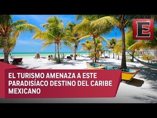 Basura y crecimiento inmobiliario amenaza la isla de Holbox