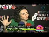 Ana Serradilla indignada por el maltrato a los animales / Ana outraged by animal cruelty