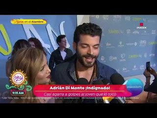 ¡Desfile de luminarias en la premier de 'Ya veremos'! | Sale el Sol