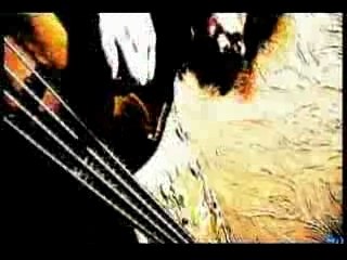 Napalm Death : Morale | Clip