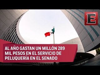 Senadores gastan más de un millon anual en peluqueria