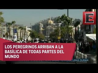 Mitos y Ritos: Fervor guadalupano