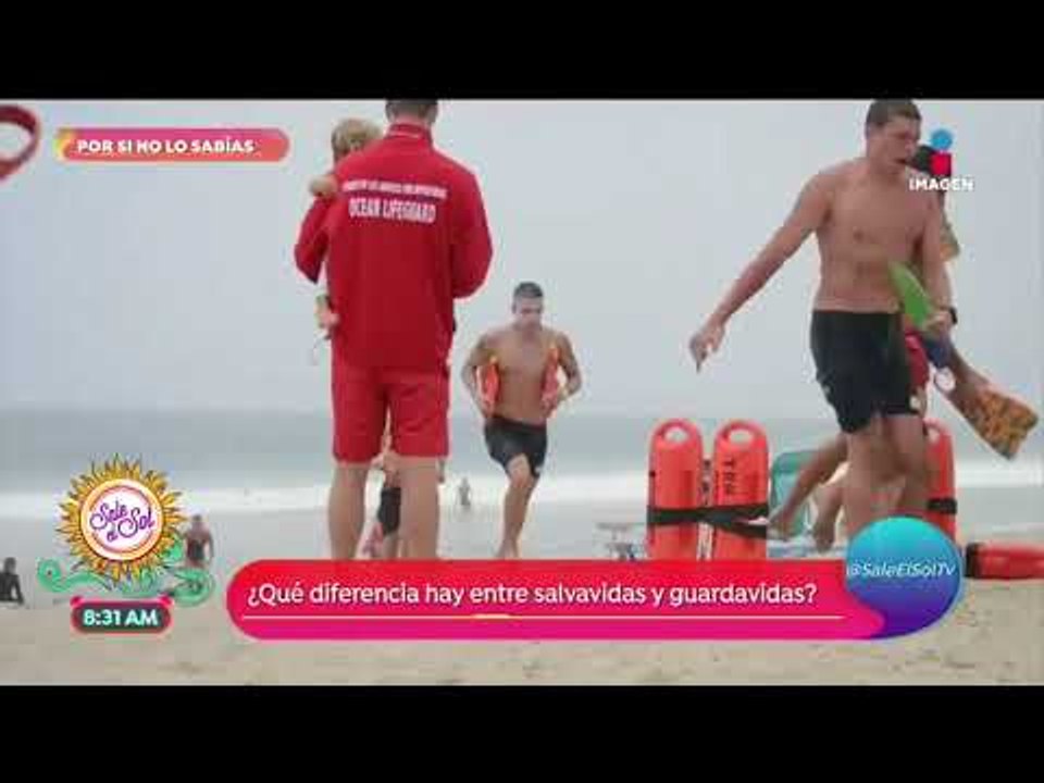 ¿Cuál es la diferencia entre un salvavidas y un guardavidas? | Sale el Sol