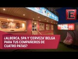 Primer hotel de lujo para perros en Asia