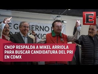 Mikel Arriola se reúne con líderes de la CNOP