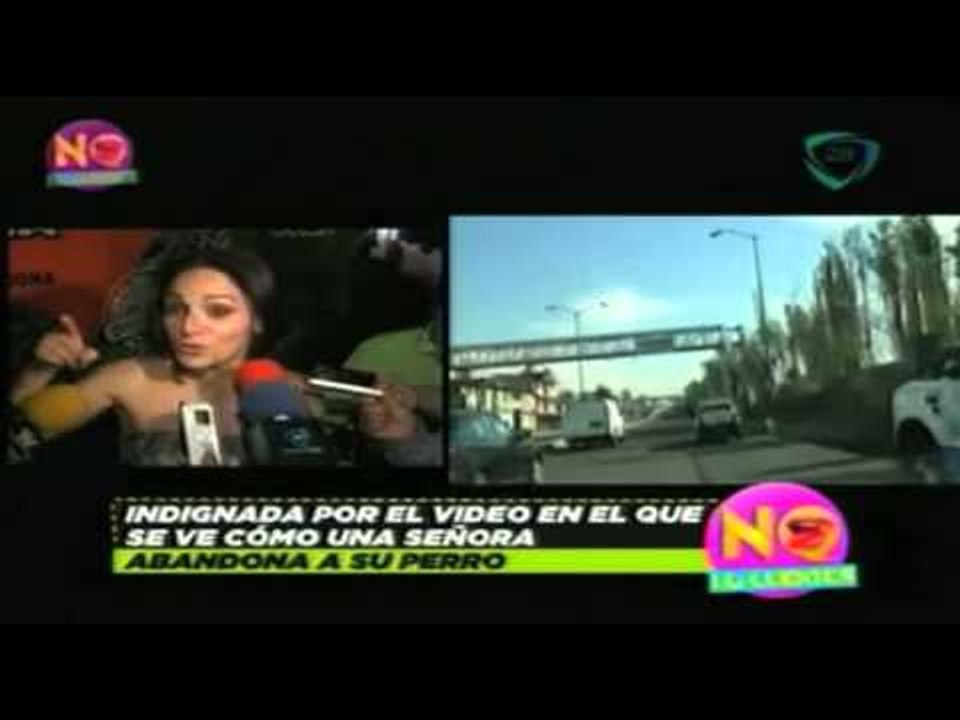 Lolita Cortes indignada por el abandono de perros / Lolita outraged by the abandonment of dog