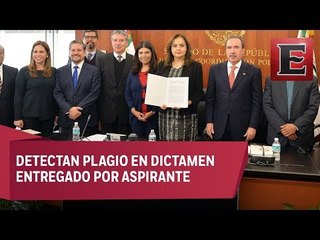 Senado elige a 8 candidatos para ocupar la titularidad de la Fepade