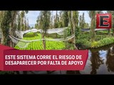 La siembra de hortalizas en las chinampas de Xochimilco
