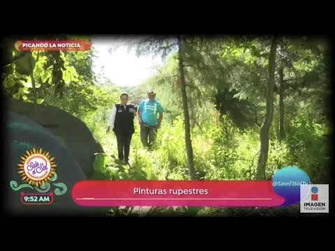 Picando la noticia: las pinturas rupestres bajo las faldas del Popocatépetl | Sale el Sol