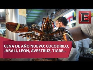 Mercado de San Juan, el lugar donde encuentras hasta un elefante
