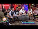 Picando la noticia: ¡La Chata Pig ayuda a conseguir una prótesis de pierna! | Sale el Sol