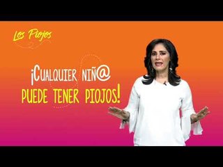 Acaba y evita los piojos | Sale el Sol