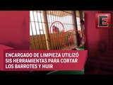 VIDEO: 11 reos escapan de cárcel de Brasil