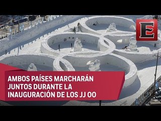 Las dos Coreas desfilaran bajo la misma bandera en Juegos Olímpicos