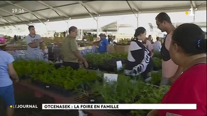 Les plantes aromatiques à la conquête des jardins