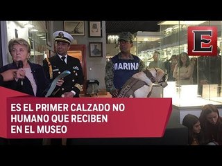 'Frida' la rescatista dona sus botas al Museo del Calzado