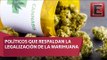 Legalización de la marihuana, el nuevo tema de las precampañas