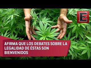 Las drogas son ilegales porque hacen daño a la salud: Navarrete Prida