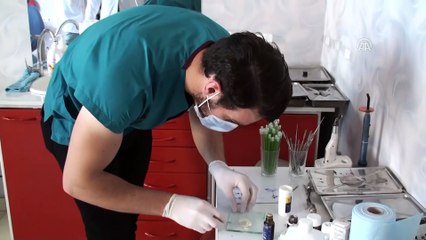 Yaralı kaplumbağa diş dolgu malzemesiyle yaşama tutundu - AĞRI