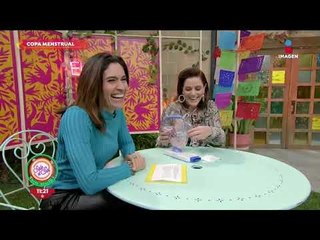 ¡Todo sobre la copa menstrual! | Sale el Sol