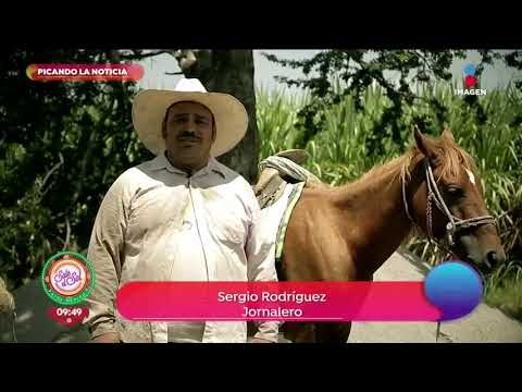 Picando la noticia: las secuelas del 19S | Sale el Sol