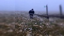 Ardahan'ın Yüksek Kesimlerinde Bulunan Yaylalara Kar Yağdı