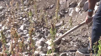 Yağmur Yağınca Nöbet Tutmak Zorunda Kalıyor