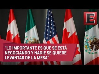 Análisis de la negociación del Tratado del Libre Comercio